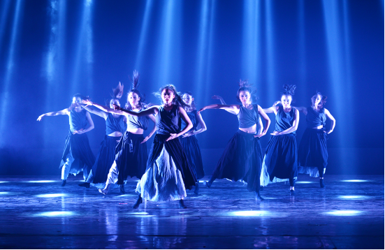 “冬季花儿”精彩绽放