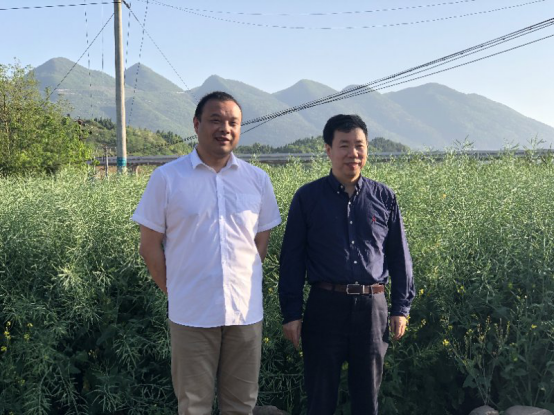 张勇院长赴桑植县看望文化厅系统挂职锻炼干部