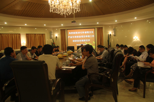 省级文化产业引导资金项目申报工作培训会在我院召开