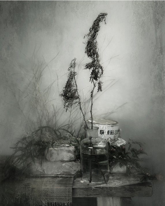 学院青年教师作品入选第156届英国皇家摄影学会国际摄影展